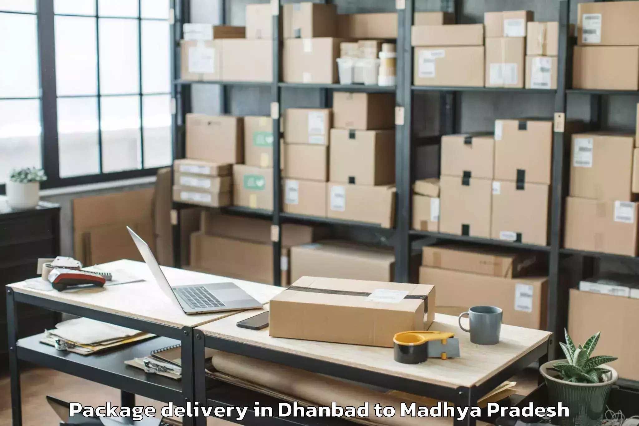 Top Dhanbad to Gyaraspur Package Delivery Available